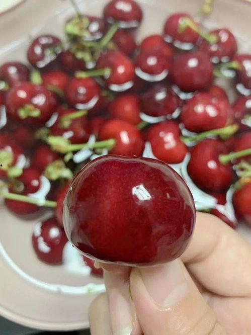 吃瓜网红事件樱桃是真的吗,真相揭秘，是真是假？